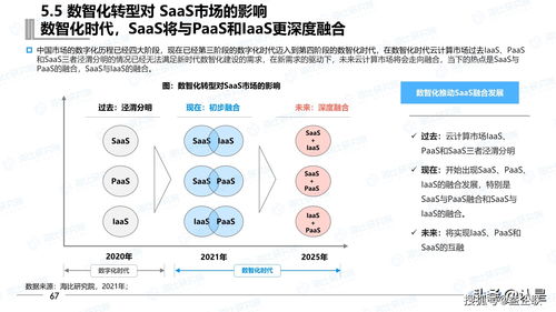 2021年中國SaaS市場研究報告與互聯網區塊鏈技術研究開發服務